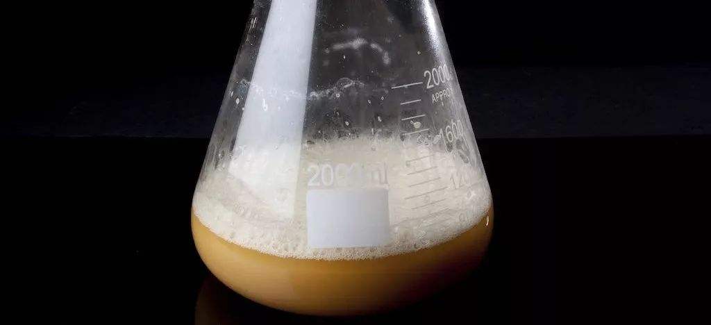 酵母發(fā)酵起泡是怎么回事，怎么處理這些泡沫？